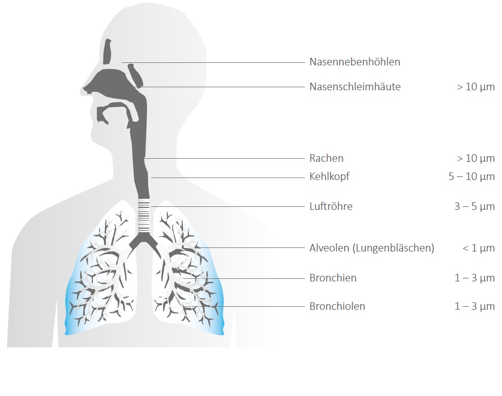 Health effects of dust particles