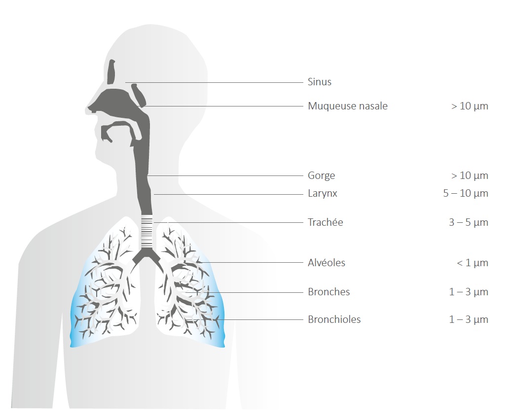 Analyses de poussières taille des particules effets sur la santé